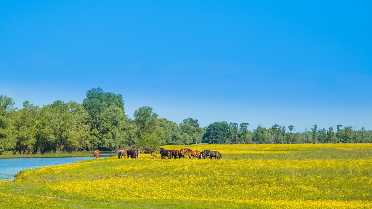 Photo of Others in Sisak-Moslavina