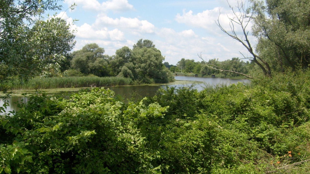 Photo of Outdoor in Sisak-Moslavina