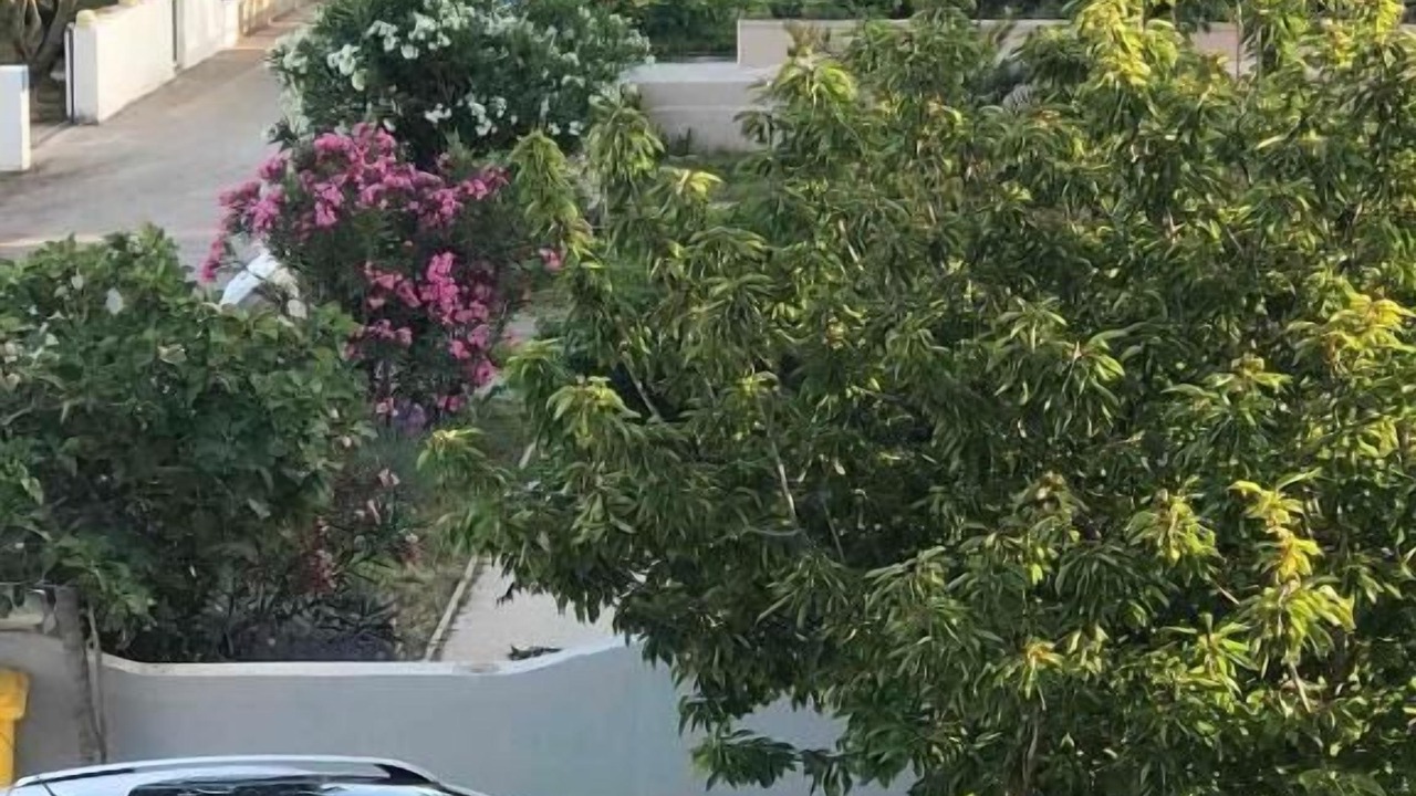 Photo of Outdoor in Vrsi