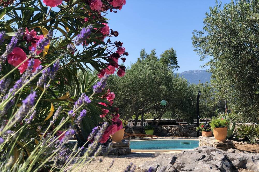 Photo of Outdoor in Cove Basina (Jelsa)