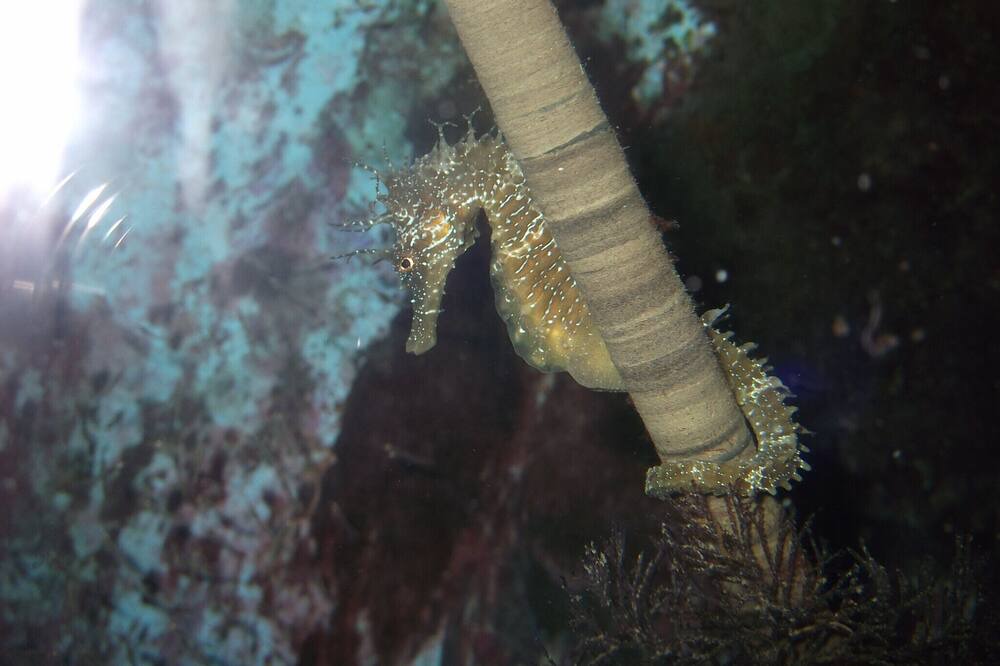 Photo of Others in Montovjerna