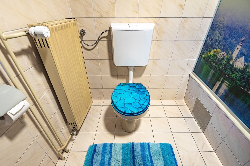 Photo of Bathroom in Radovljica