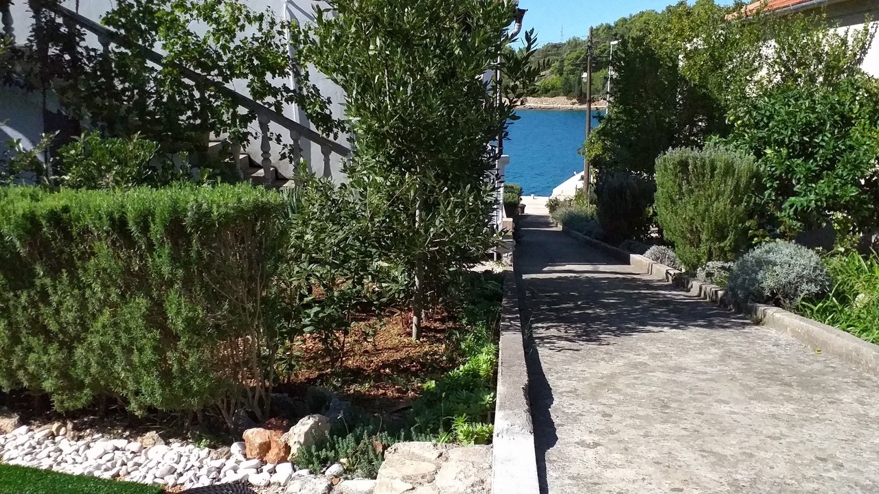 Photo of Outdoor in Rava