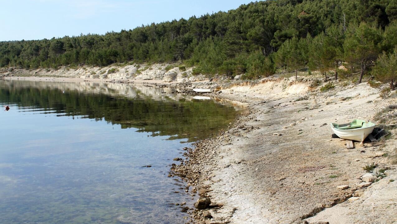 Photo of Others in Novigrad