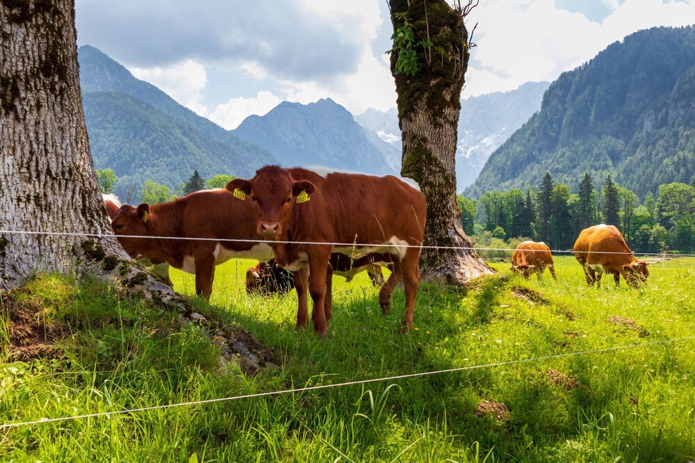 Photo of Others in Zgornje Jezersko