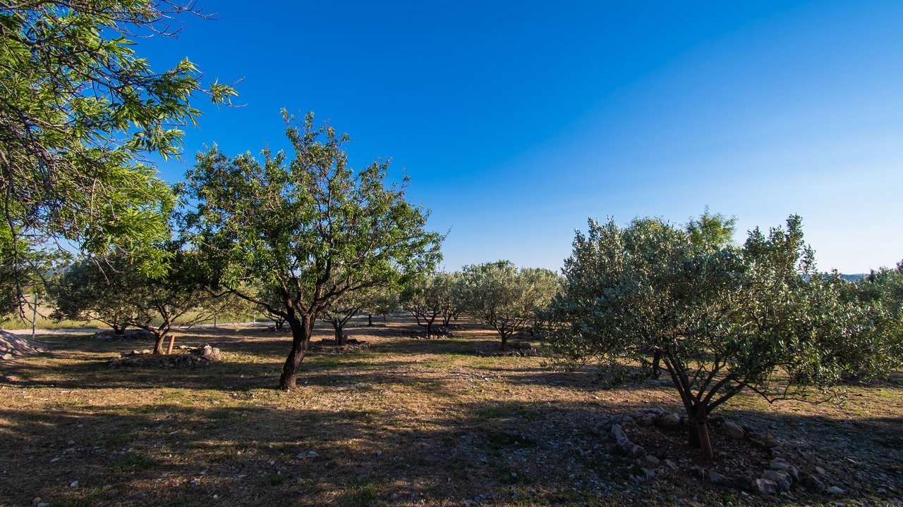 Photo of Outdoor in Bicine