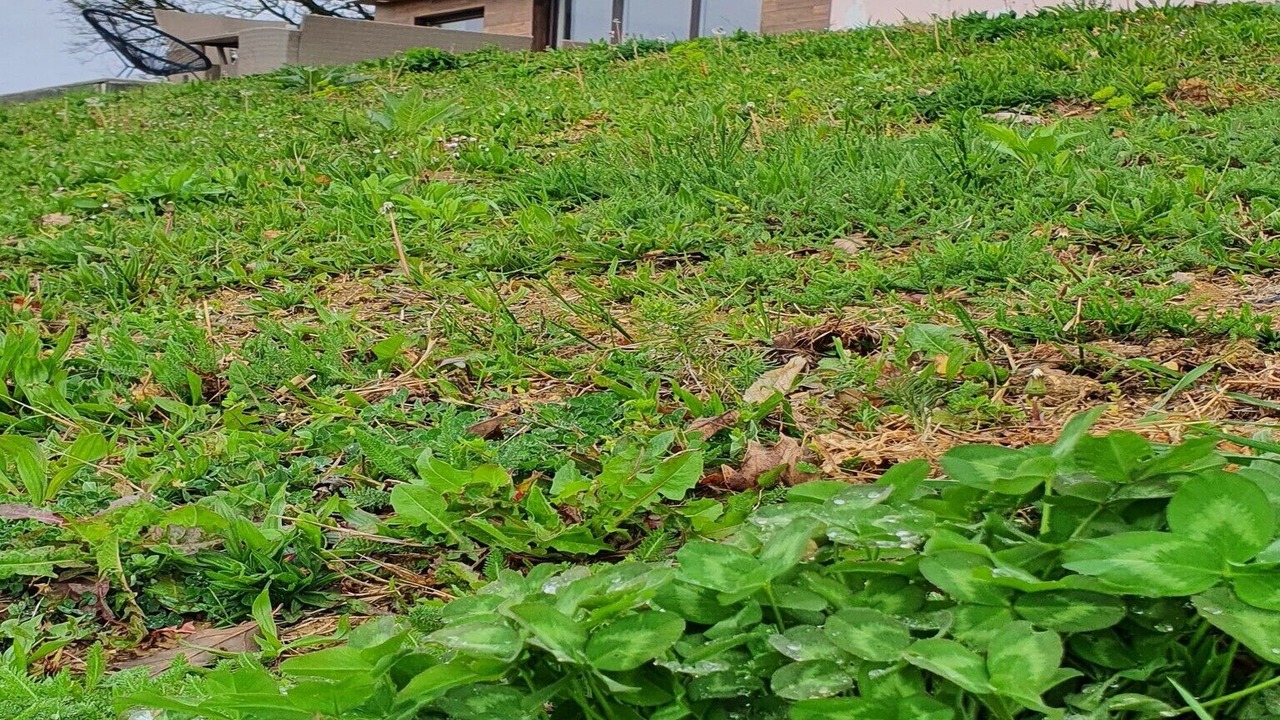 Photo of Outdoor in Brod-Posavina