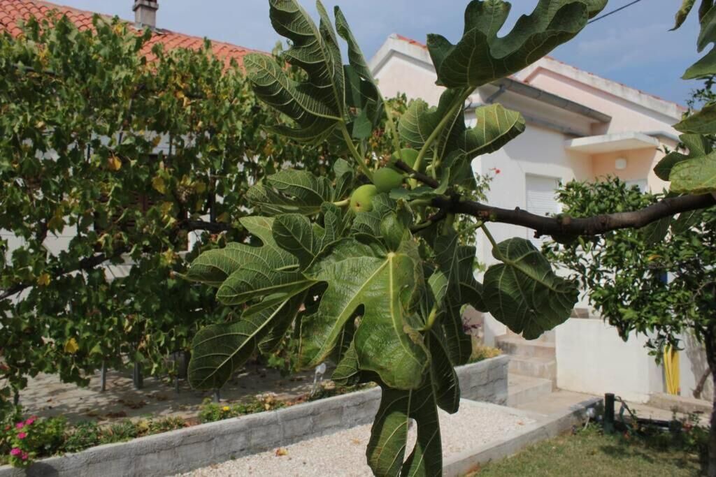 Photo of Outdoor in Lukoran