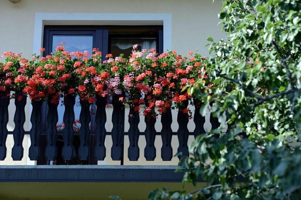 Photo of Outdoor in Zrece