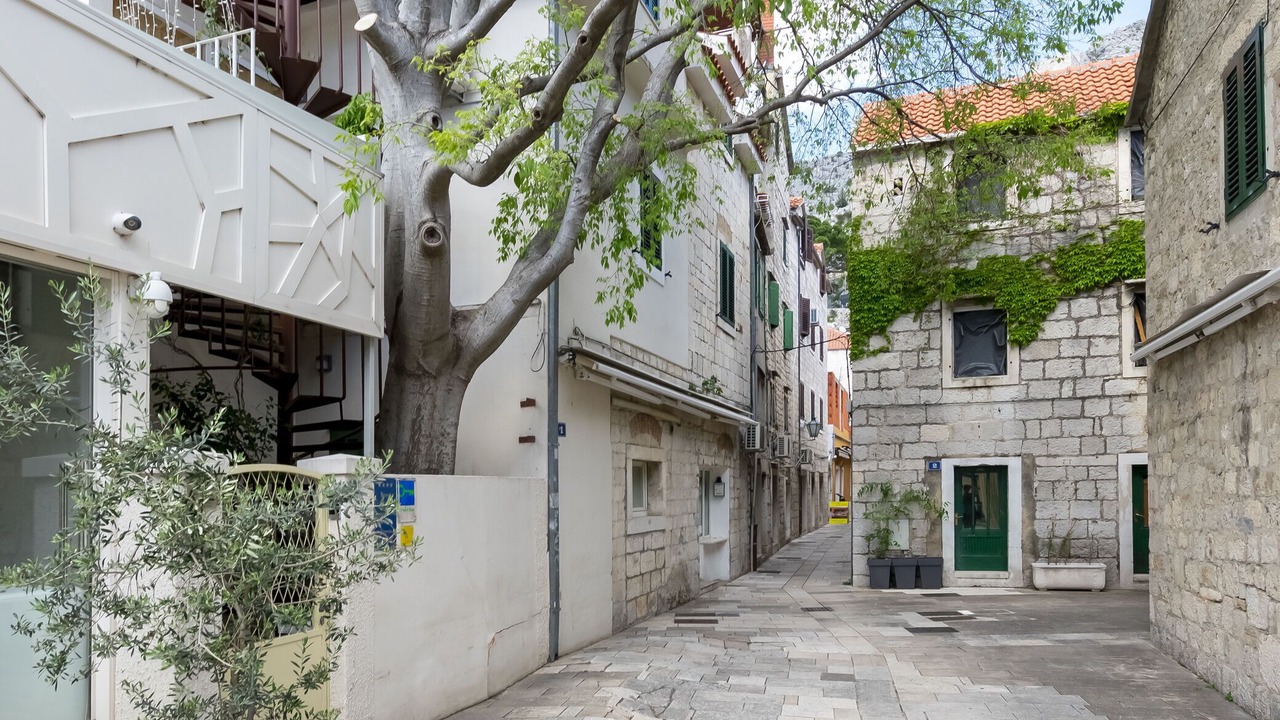 Photo of Others in Omis