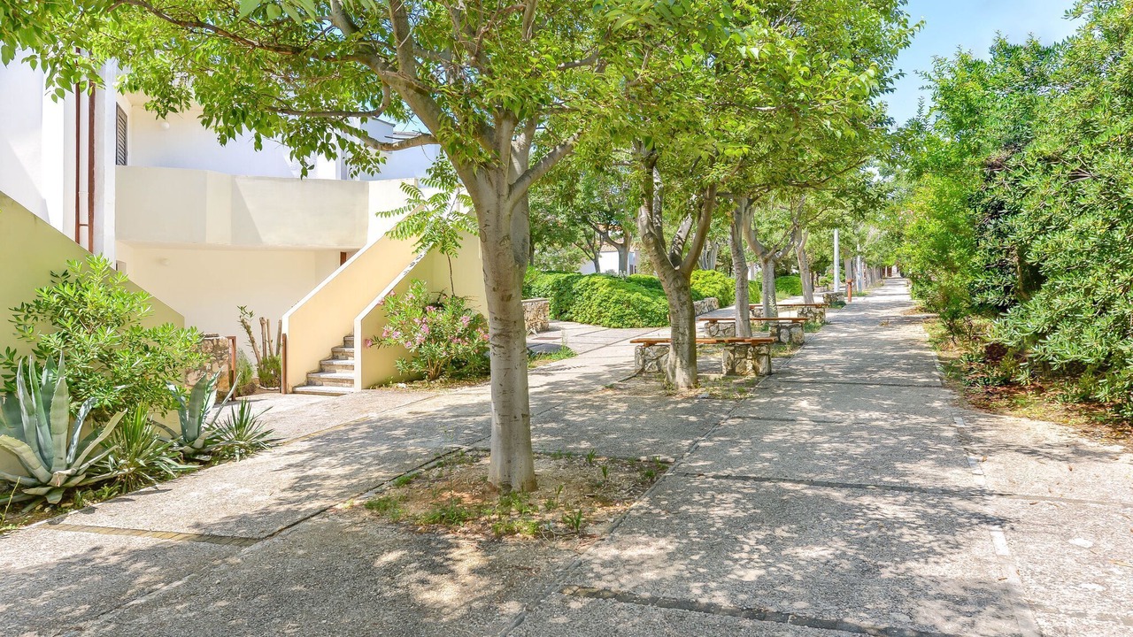 Photo of Outdoor in Gajac