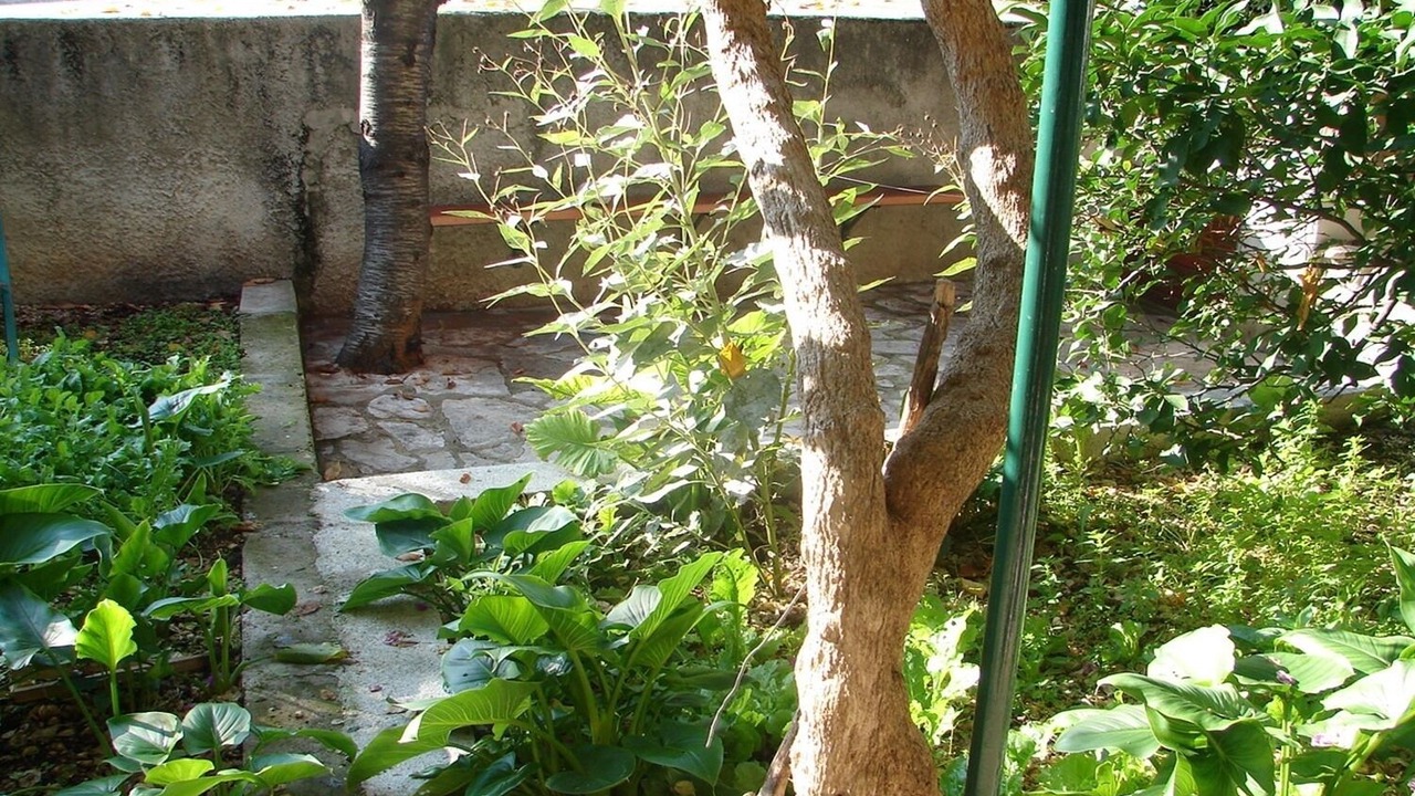 Photo of Outdoor in Vrpolje