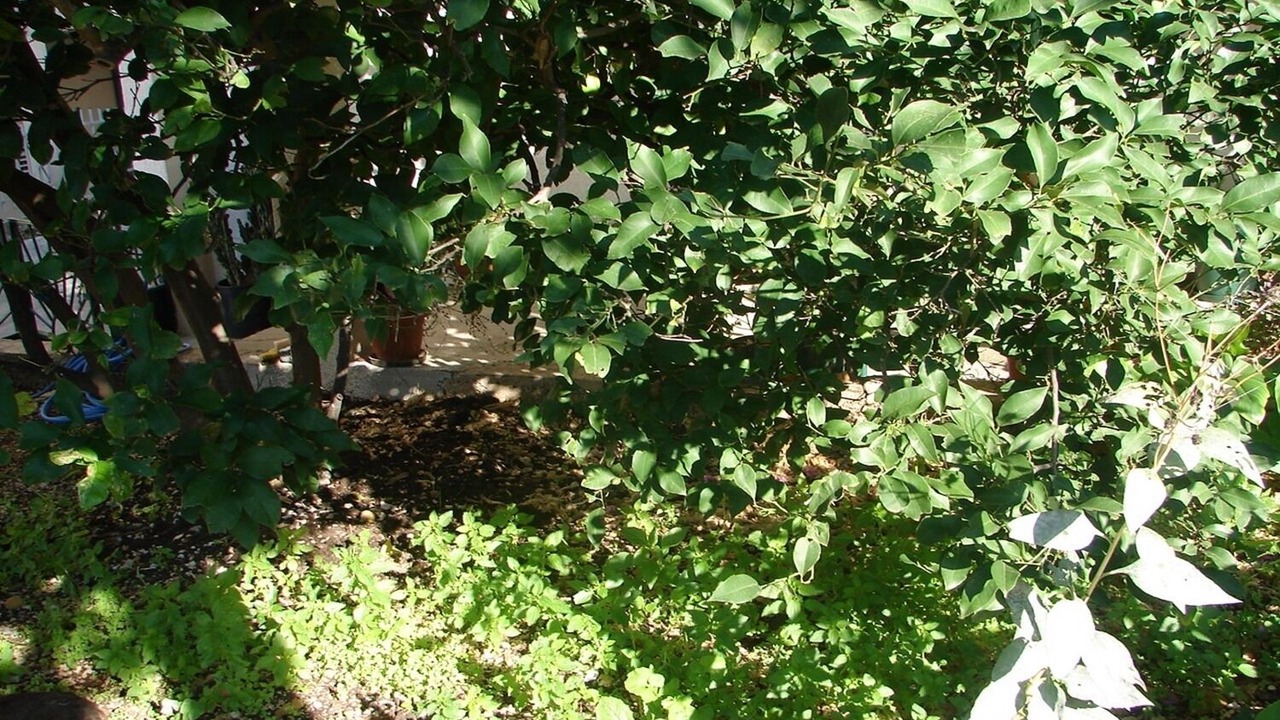 Photo of Outdoor in Vrpolje