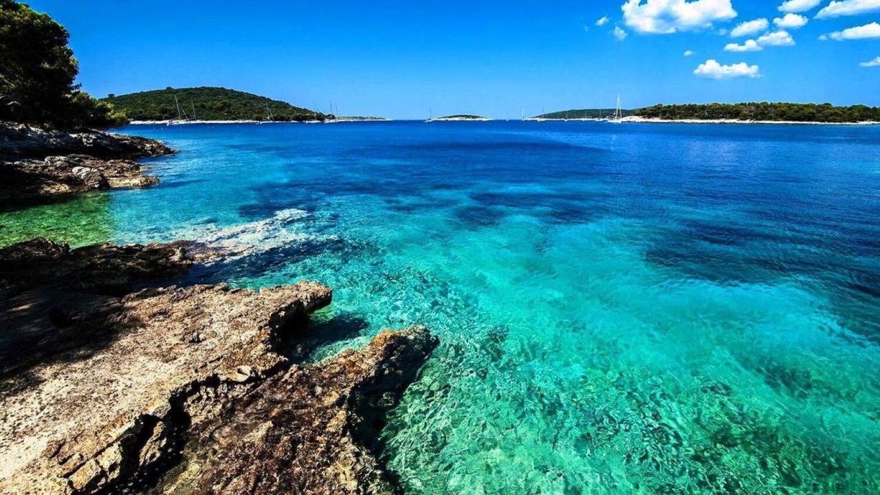 Photo of Others in Maslinica