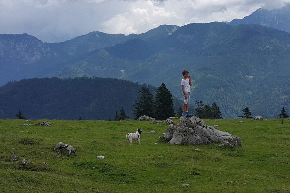 Photo of Others in Trzic