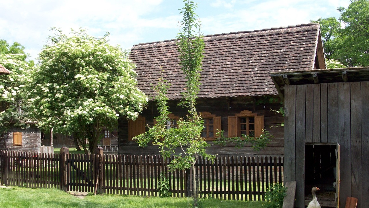 Photo of Outdoor in Sunja