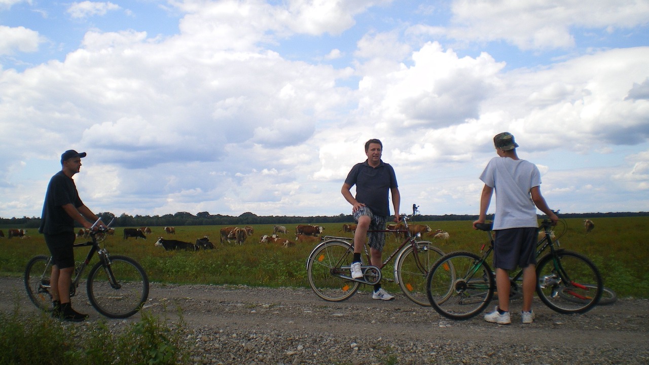 Photo of Outdoor in Sunja