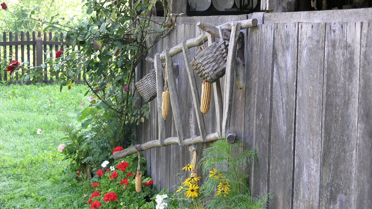 Photo of Outdoor in Sunja
