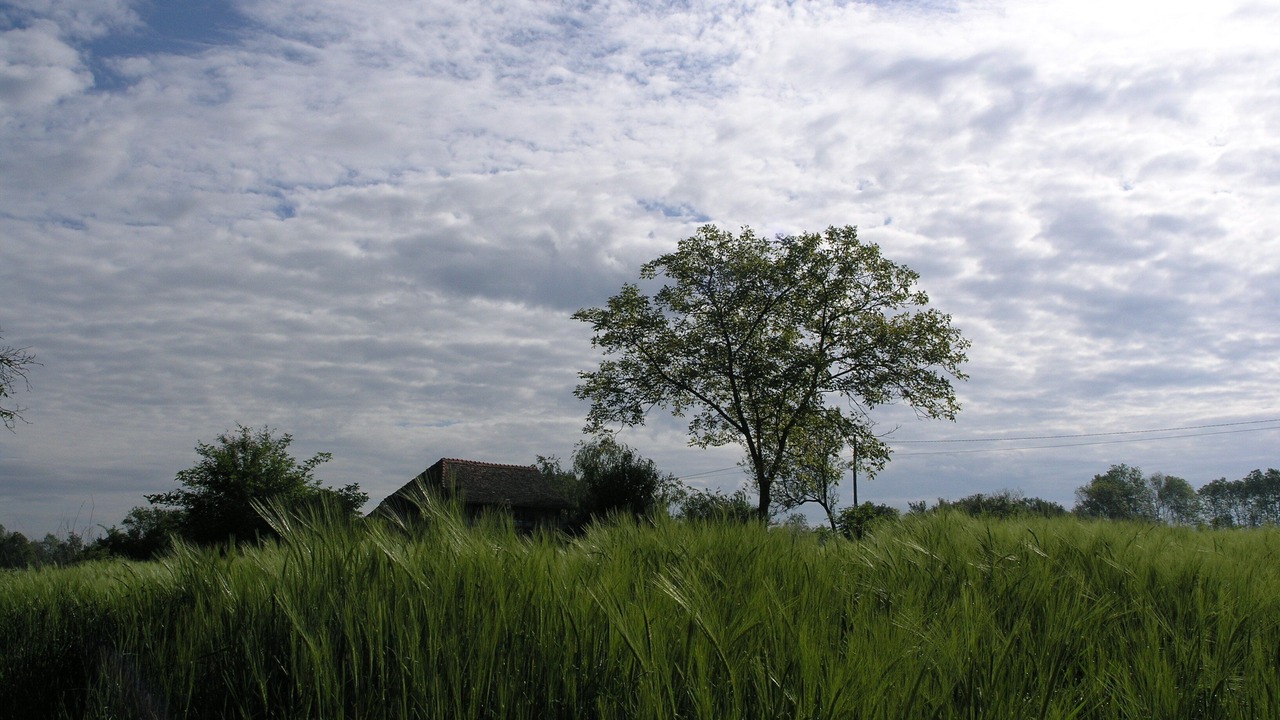 Photo of Outdoor in Sunja