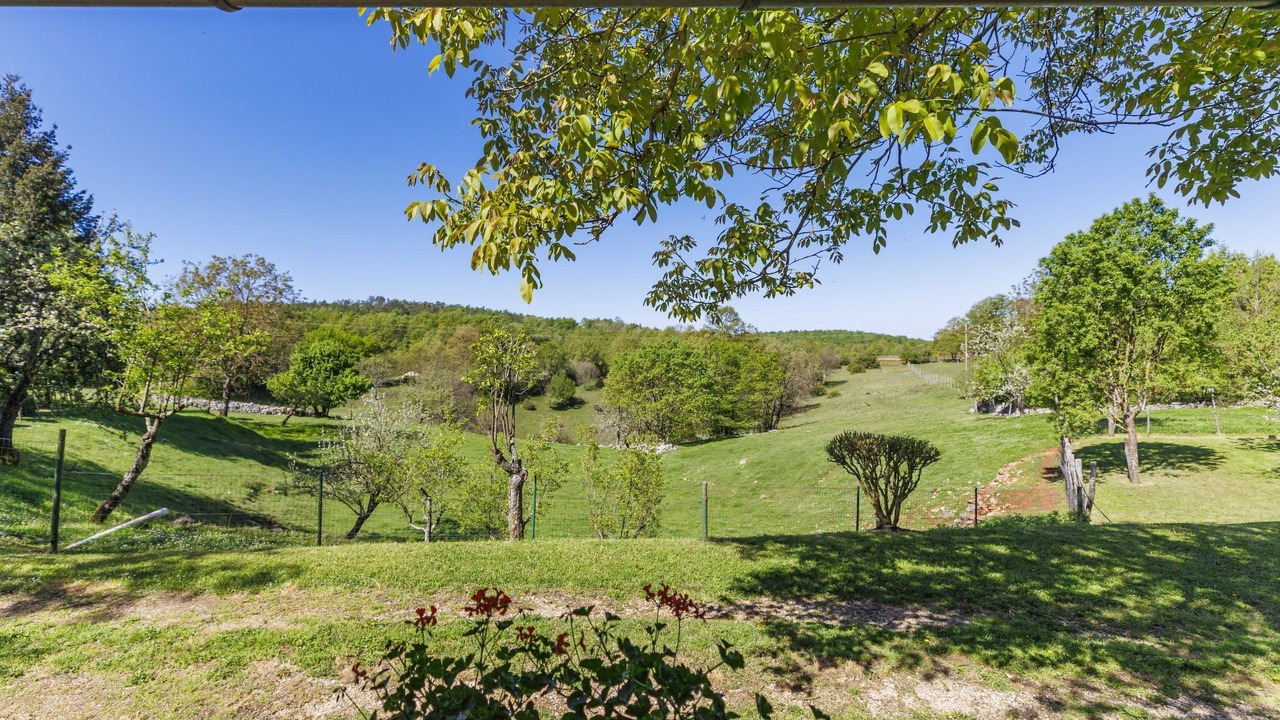 Photo of Outdoor in Heki