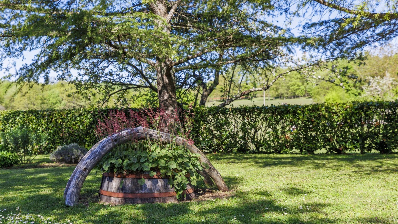 Photo of Outdoor in Heki