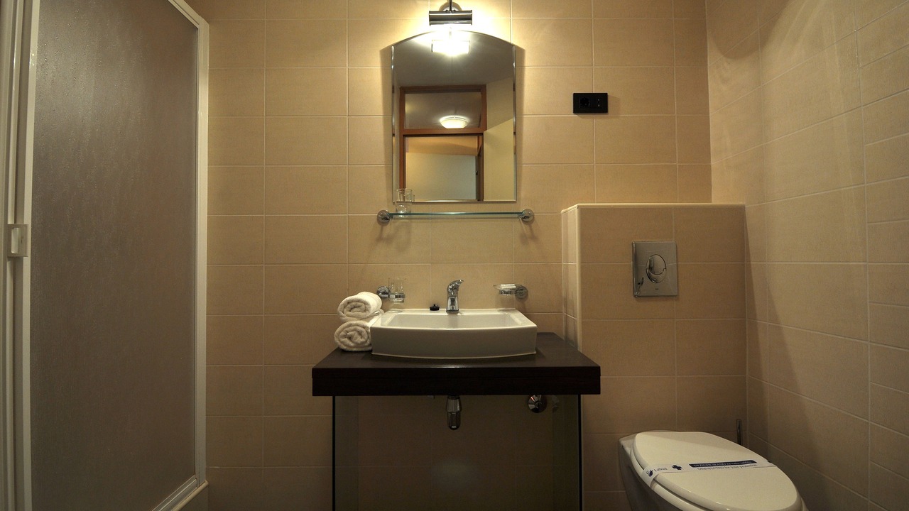 Photo of Bathroom in Buzet