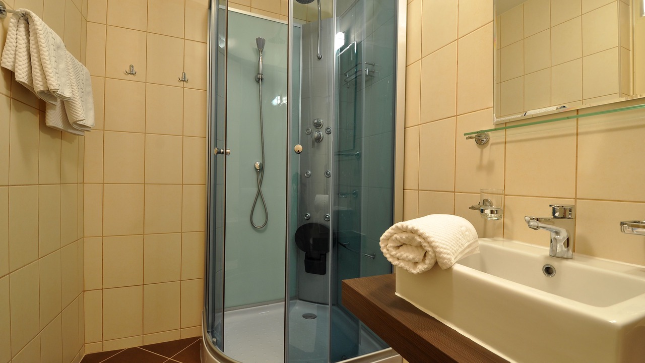 Photo of Bathroom in Buzet