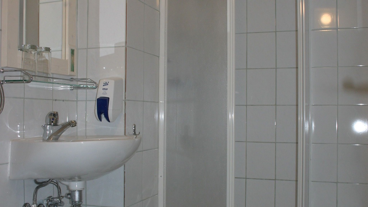 Photo of Bathroom in Delnice