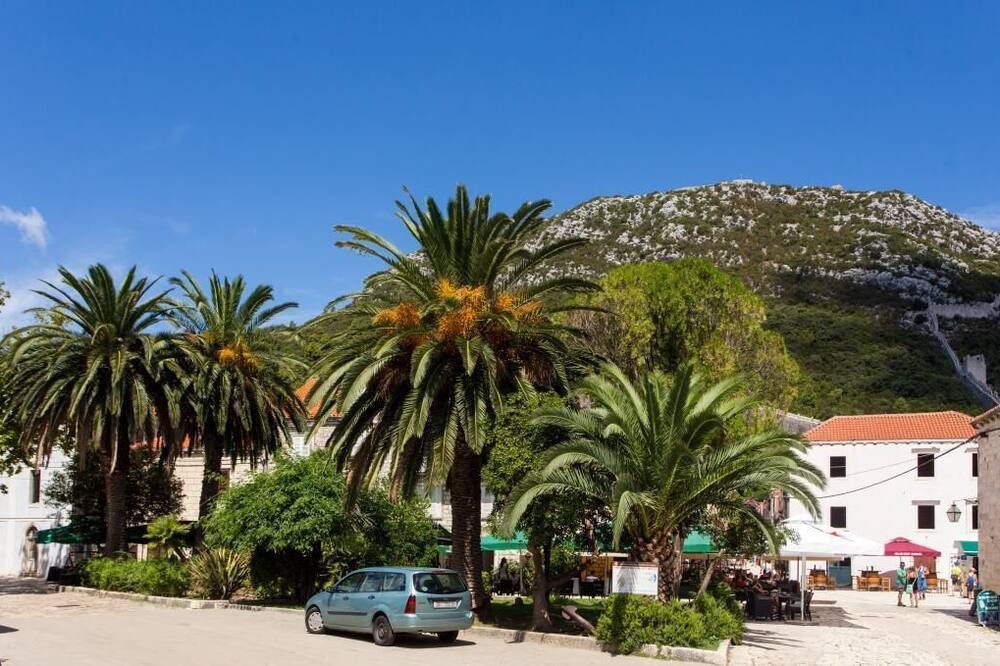 Photo of Outdoor in Kobas