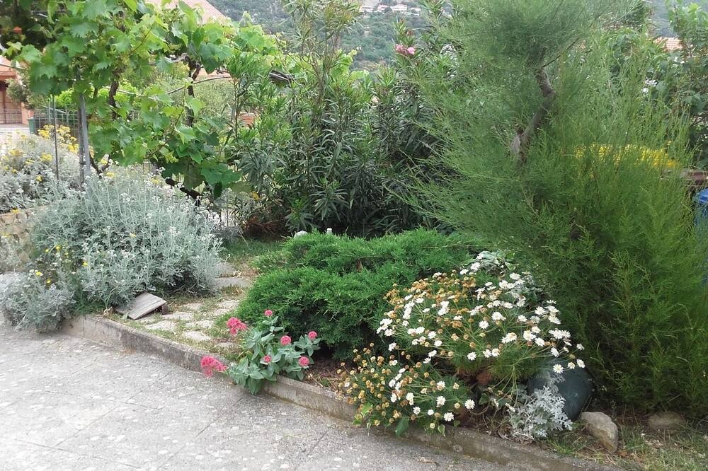 Photo of Outdoor in Mundanije