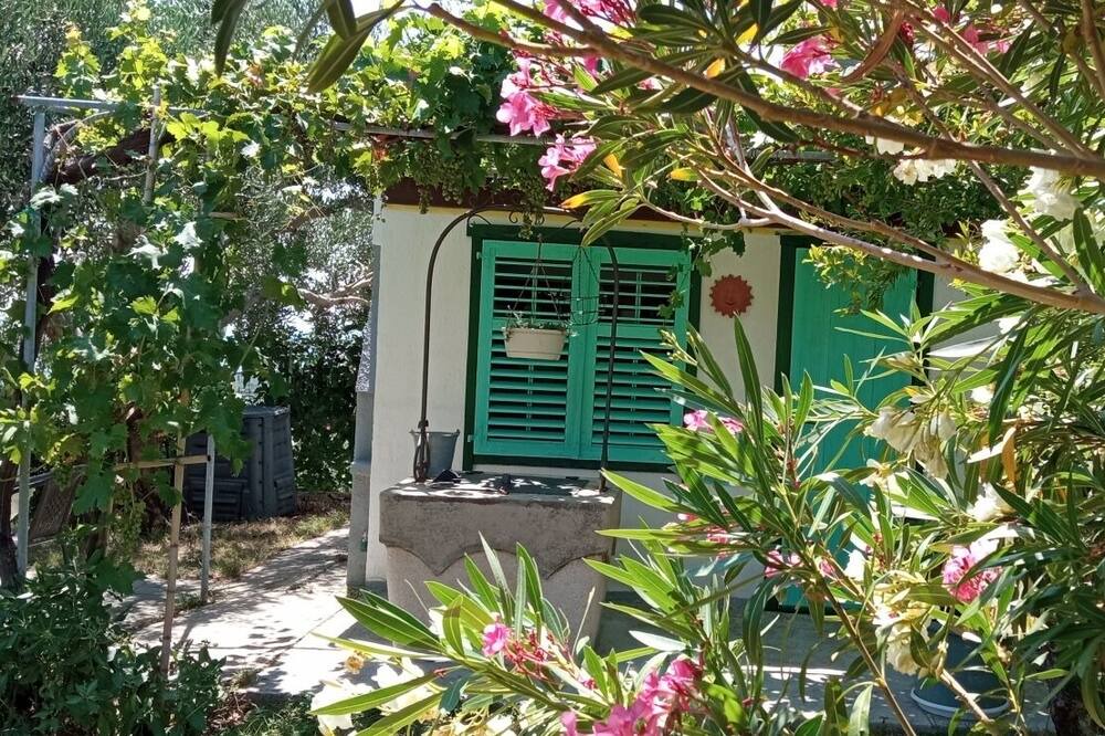 Photo of Outdoor in Mundanije