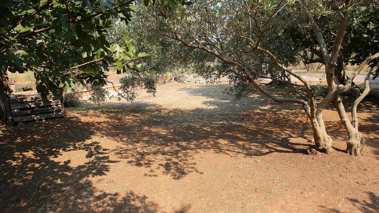 Photo of Outdoor in Vrgada