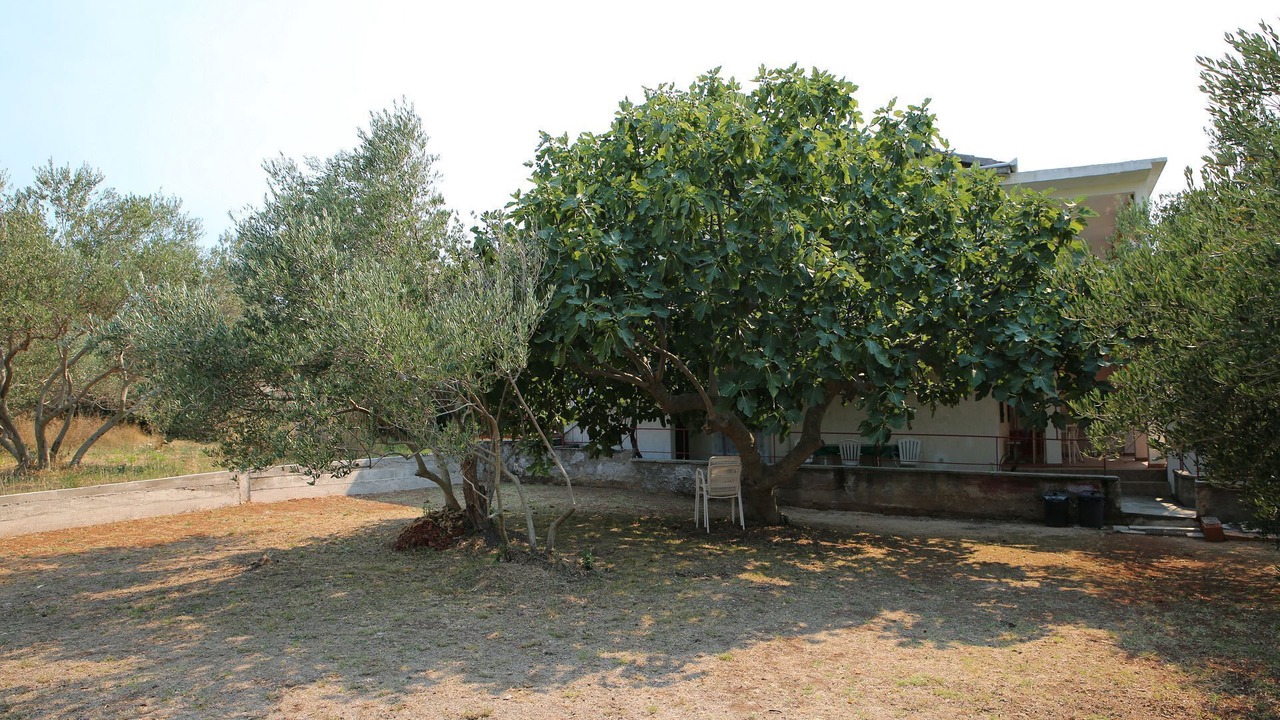 Photo of Outdoor in Vrgada