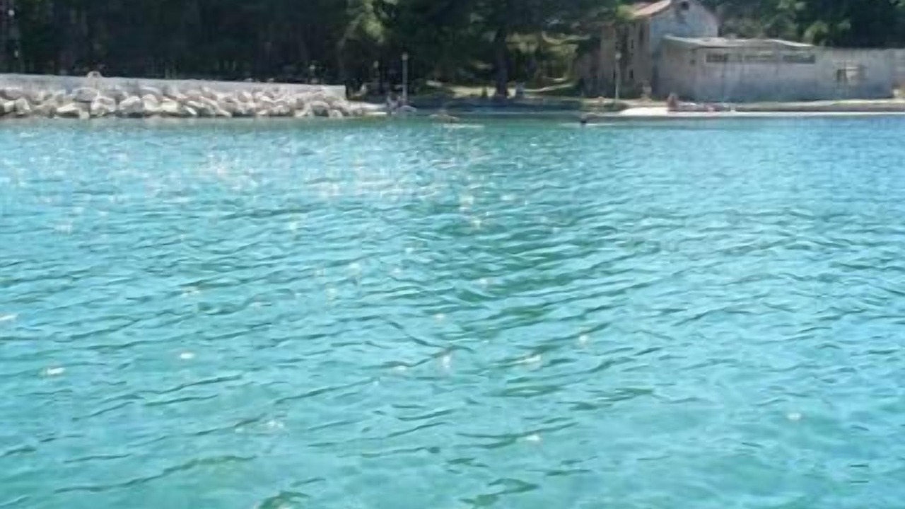 Photo of Others in Molat