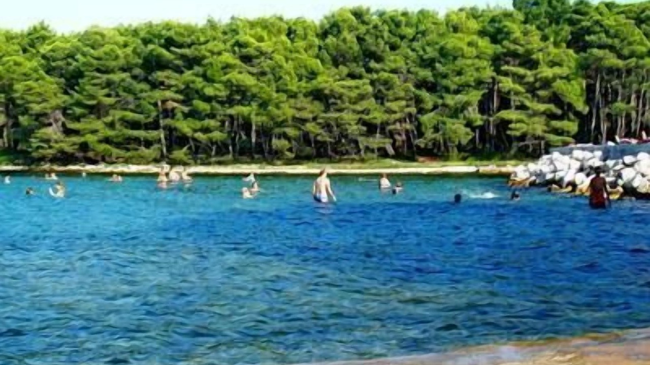 Photo of Others in Molat