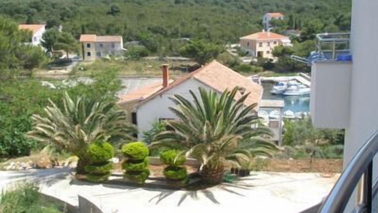 Photo of Outdoor in Molat