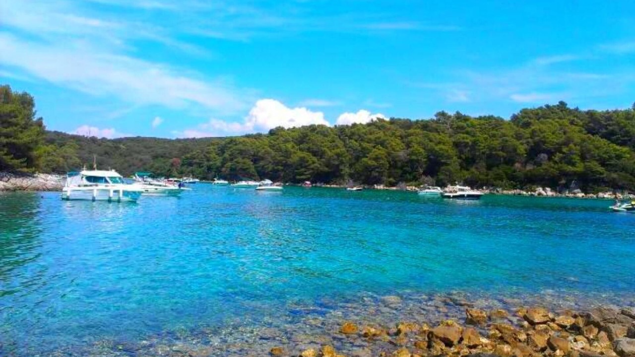 Photo of Others in Suha Punta