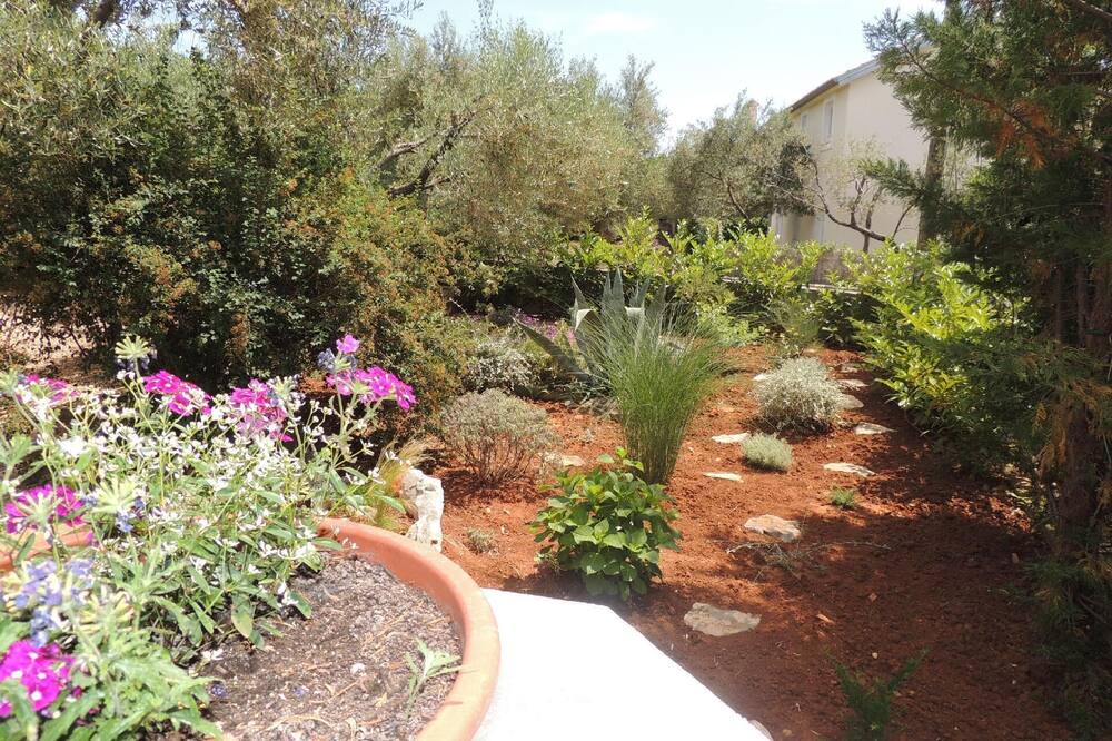 Photo of Outdoor in Brzac