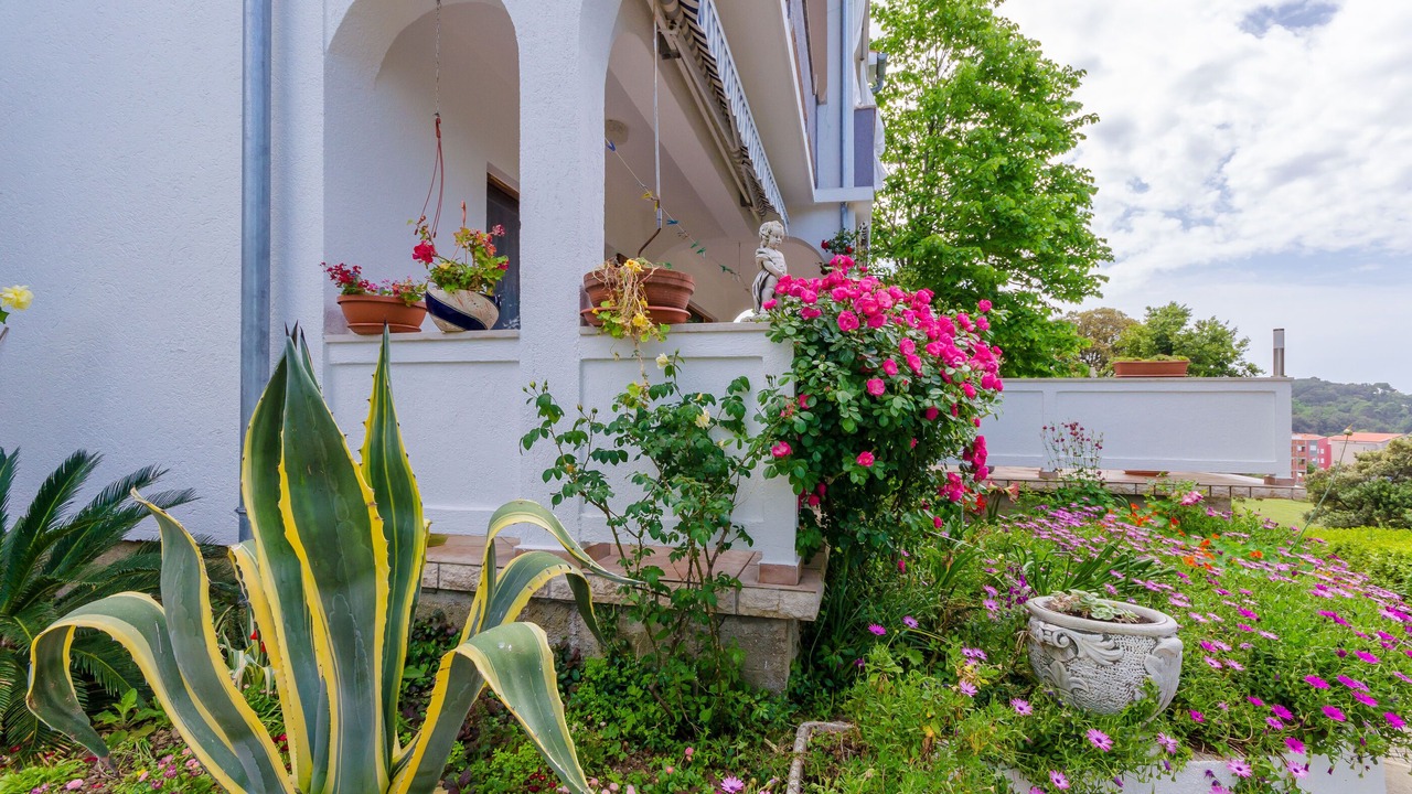 Photo of Outdoor in Kampor