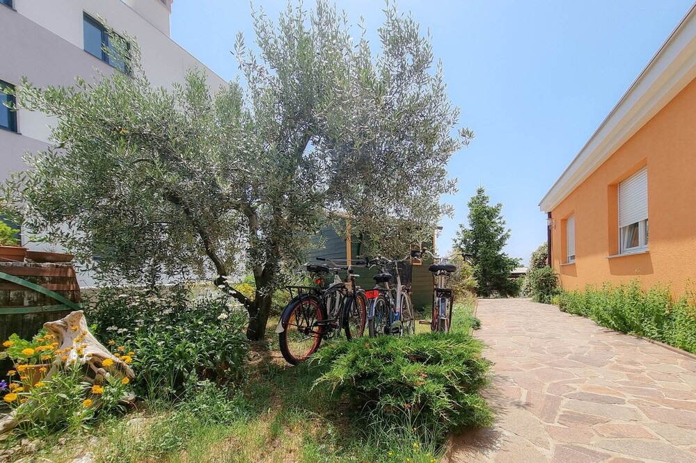 Photo of Outdoor in Novigrad