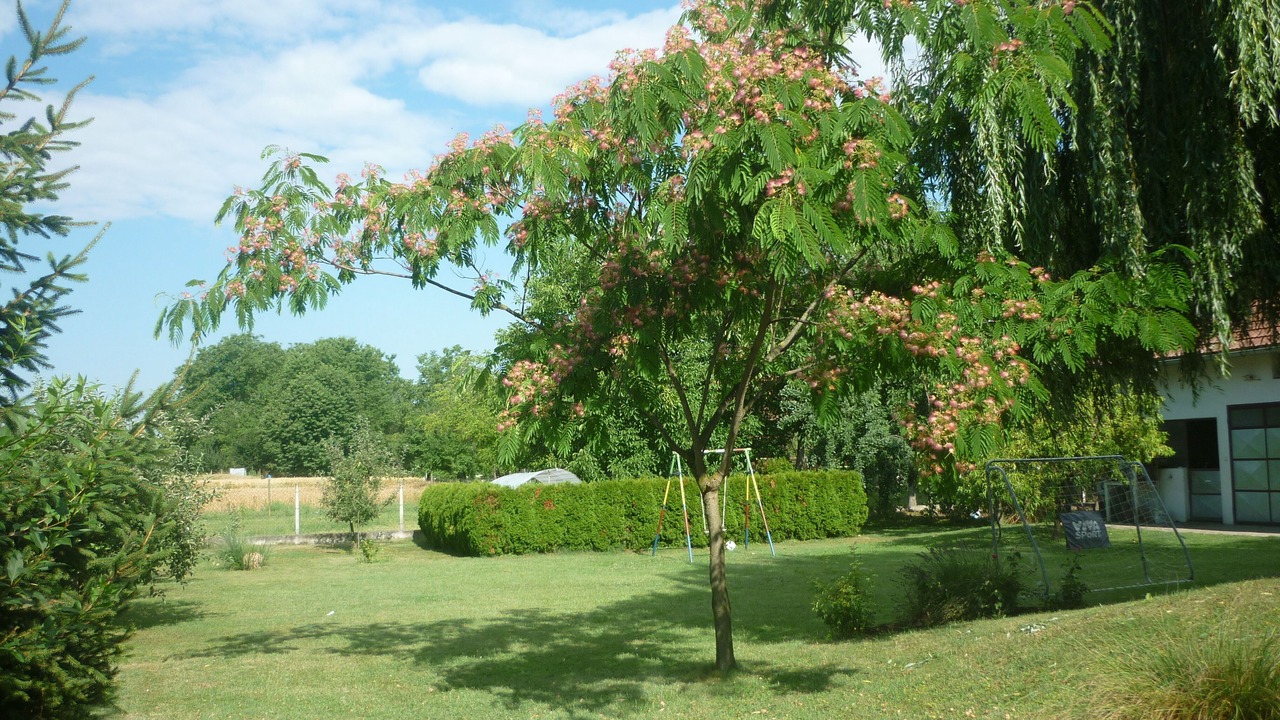 Photo of Outdoor in Prelog