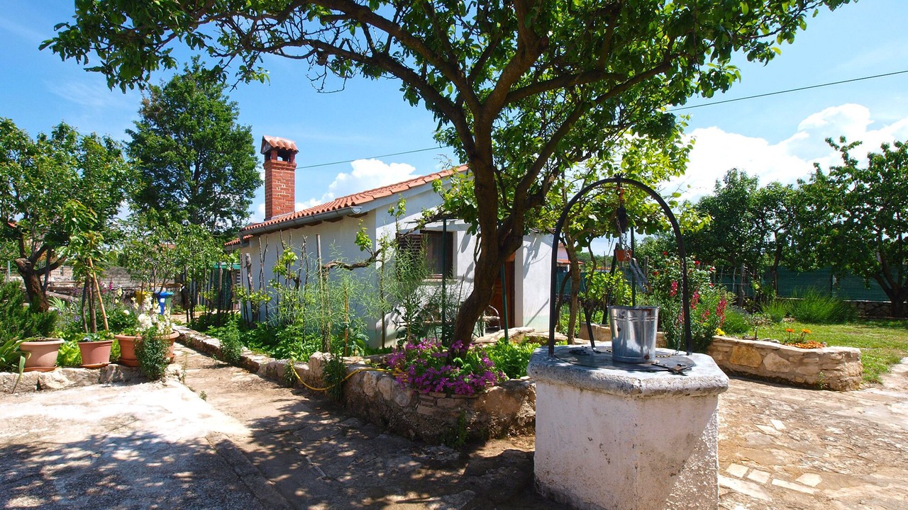 Photo of Outdoor in Matohanci