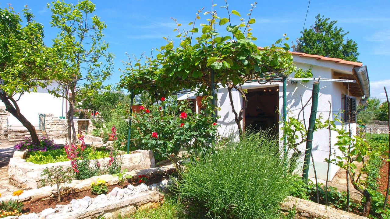 Photo of Outdoor in Matohanci