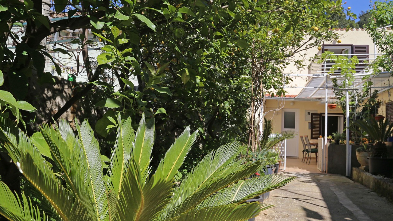 Photo of Outdoor in Babin Kuk