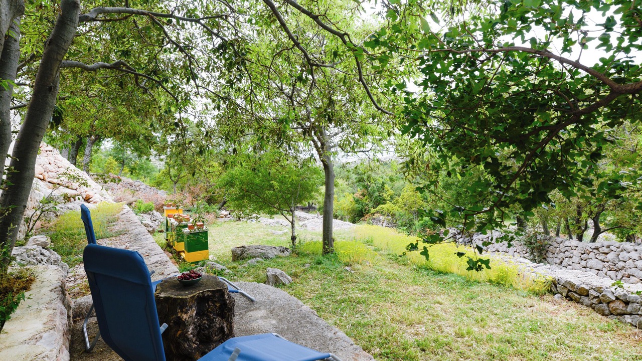 Photo of Patio Balcony in Tribanj