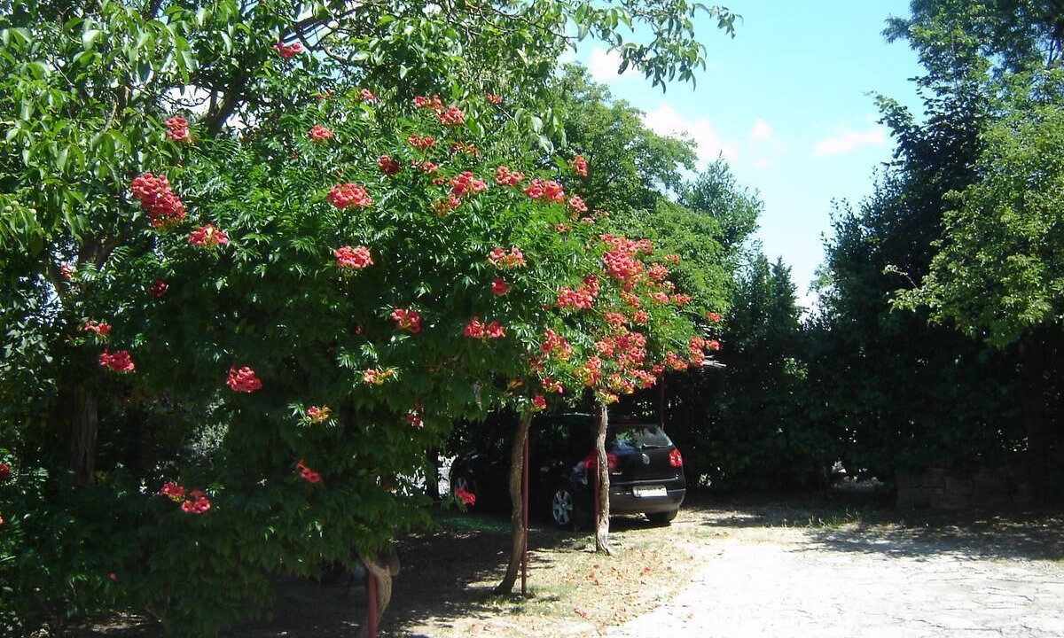 Photo of Outdoor in Pula