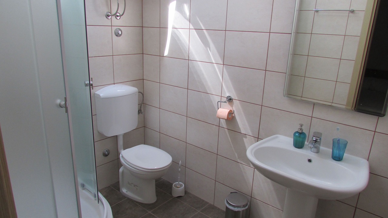 Photo of Bathroom in Donja Banda