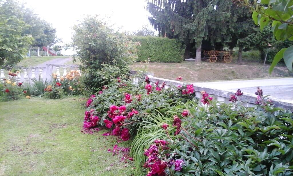 Photo of Outdoor in Kutina