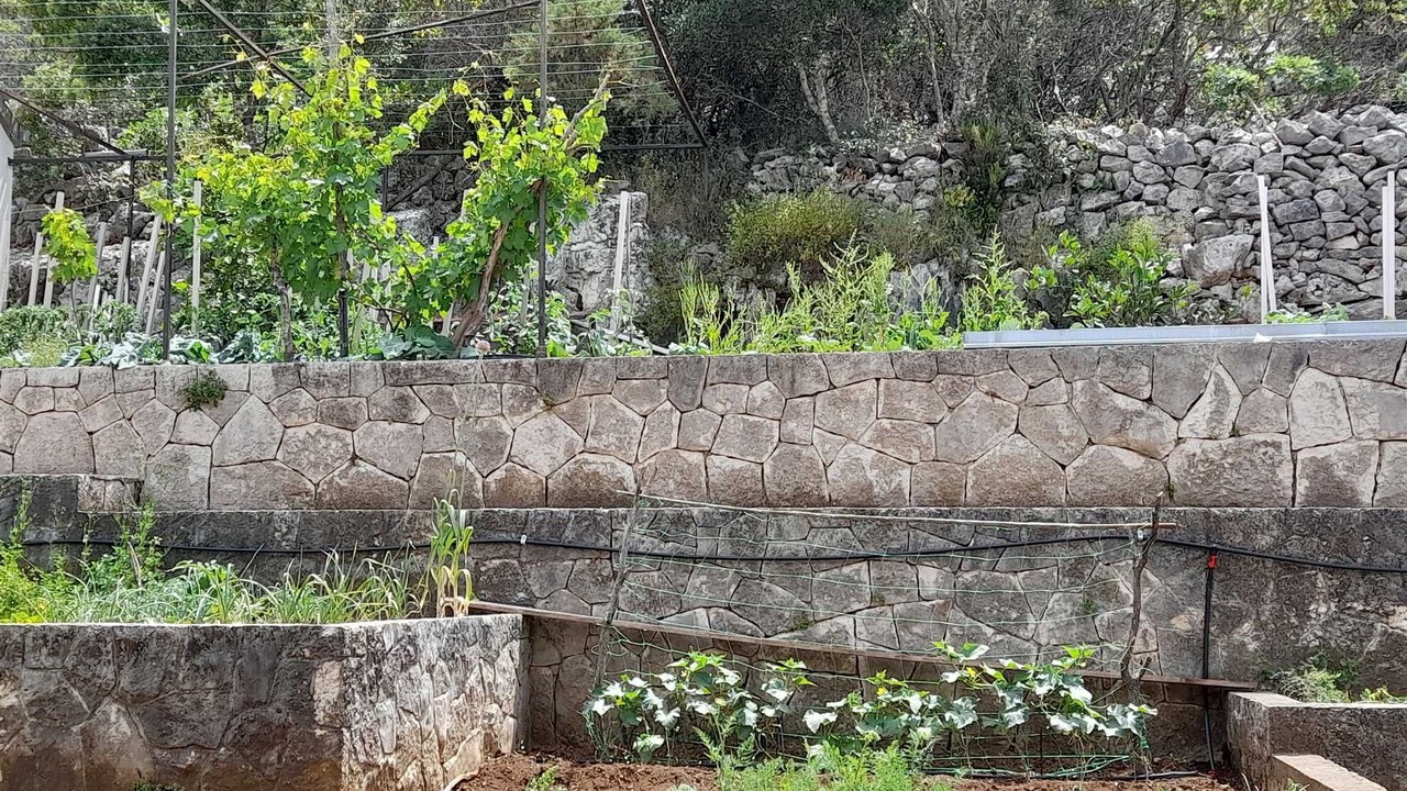 Photo of Outdoor in Mljet