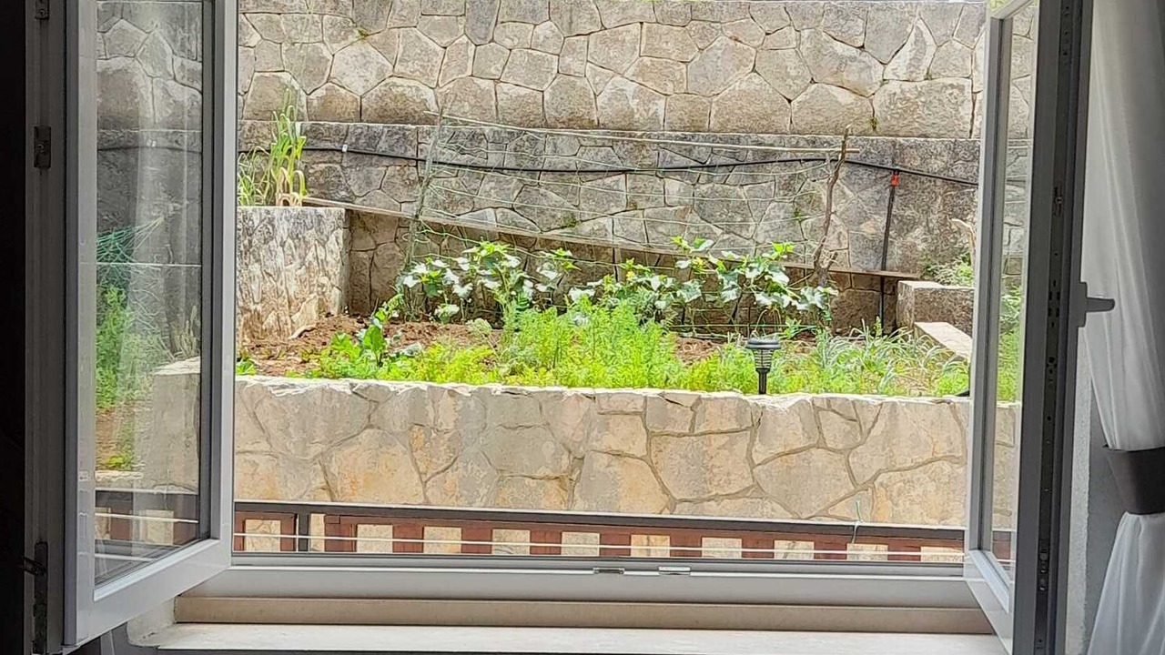 Photo of Others in Mljet